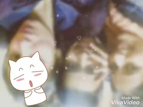 Happy birthday ploha charu