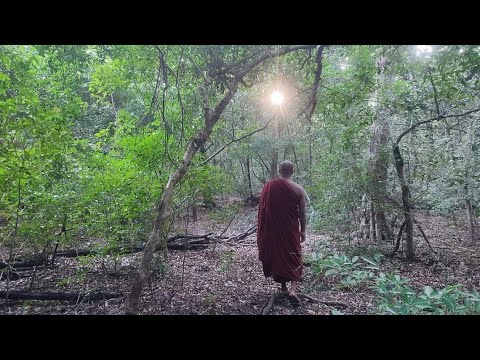 සෝවාන් වූ පුද්ගලයා පස්සය ලගදී අනිත්‍ය දකීද? Maha Rahathun Wadi Maga Osse