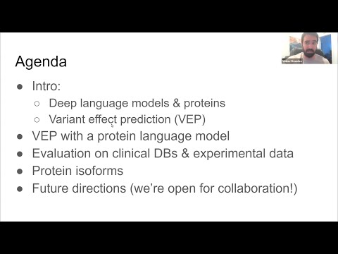 Genome-wide prediction of disease variants with a deep protein language model