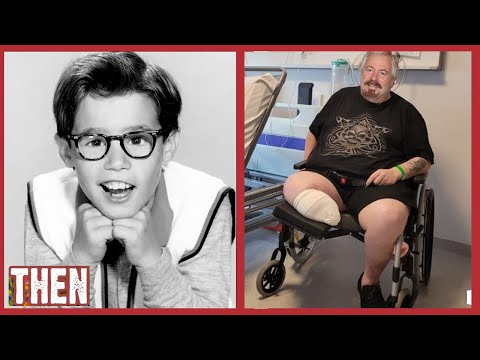 MY THREE SONS 1960 CAST💥THEN AND NOW 2025