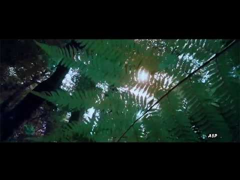 Mee Woo resort & Spa Keningau Sabah