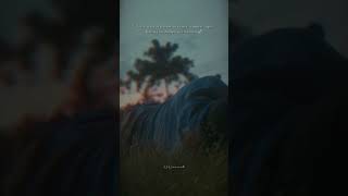 Download lagu Story wa 30 detik terbaru 2023 || Sajak kata || status galau || sad story 2023 mp3 Download lagu Story wa 30 detik terbaru 2023 || Sajak kata || status galau || sad story 2023 mp3