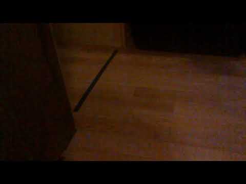 Pull back cars racing with music