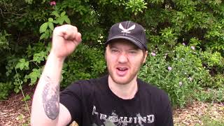 Firewind - Immortals - Album Review