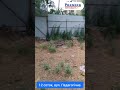 Видео превью
