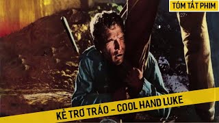 Review Phim: Kẻ Trơ Tráo - Cool Hand Luke | Biểu hiện của thanh niên mất dạy là đây