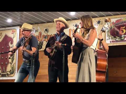 “Gonna Paint The Town” - Foghorn String Band @ 2025 Delaware Valley Bluegrass Festival