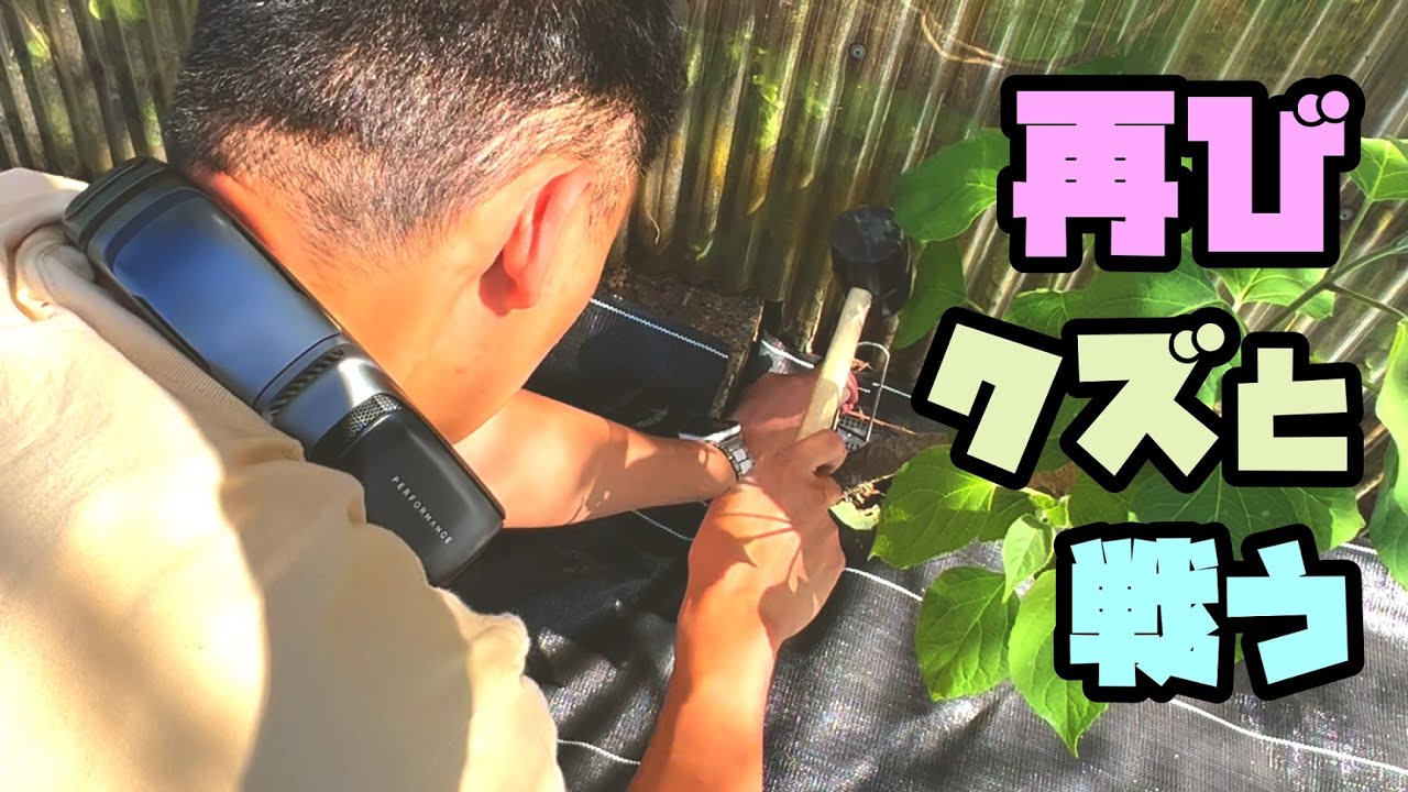 葛のリベンジを防草シートで迎え撃つ【夏の外作業でも快適スマートネッククーラーAICE 3】