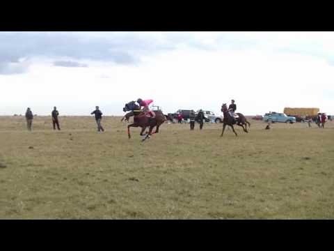 6ta carrera 500. Pista "El Tajamar" Soto Paysandu 23072017