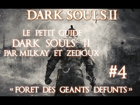 Le petit guide Dark Souls II (4/24) "Forêt des Géants Défunts"