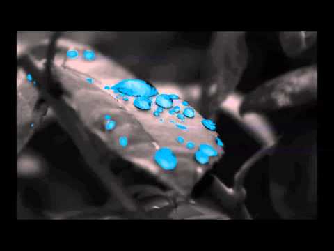 Apocalyptica- Not Strong Enough- Ft. Brent Smith AND Doug Robb