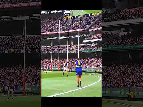 Dom Sheed INSANE GAME WINNING GOAL ( 2018 AFL Grand Final )