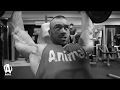 The Animal Underground: Roman