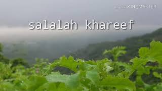 preview picture of video 'Amazing... salalah khareef season'