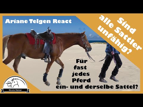 Ariane Telgen führt Feldzug gegen Sattler: Sind das alles Idioten und nur sie kennt die Wahrheit?