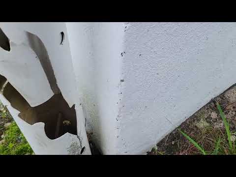 Ants on the Move in Brick, NJ