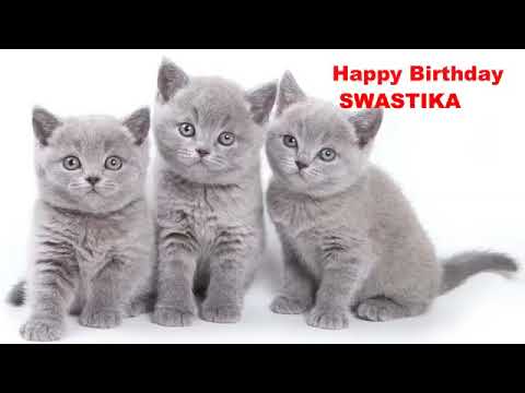 Swastika   Cats Gatos   Happy Birthday