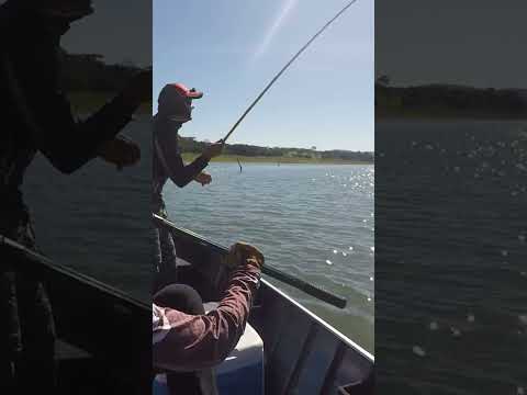 Monstros do Rio Paranaiba  #pescaria #fishing #pesca #brasil #minasgerais