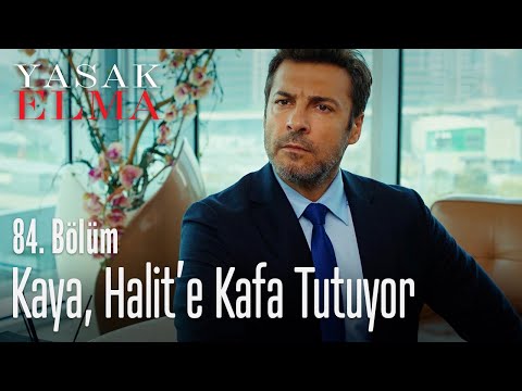 Kaya, Halit'e kafa tutuyor - Yasak Elma 84. Bölüm