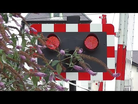 Level Crossing - Claremont Road, Dublin