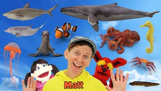 Sea Creatures – What Do You See? Song | Dream English Kids | Printables