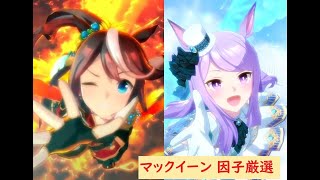 ウマ娘 マックイーン育成＆因子厳選