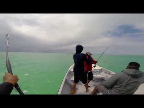 Kiritimati Adventure 2017