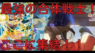 [SDBH]ゴジータブルー、ベジット４で共闘してみた！！