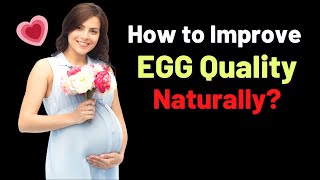 10 Ways to Improve Egg Quality in Women Naturally | VisitJoy