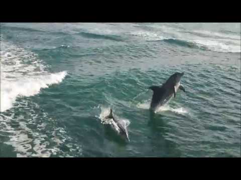 Mandurah Cruises