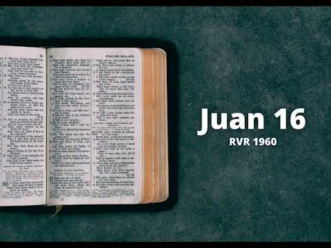 John 16 - Reina Valera 1960 (Audio Bible)
