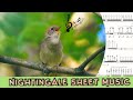 Common Nightingale: Song in Sheet Music
