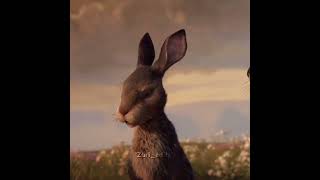 Watership down | Fiver edit | #foryou #fypシ #shorts #fyp