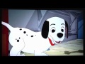 Wipe Wipe Wipe Your Paws