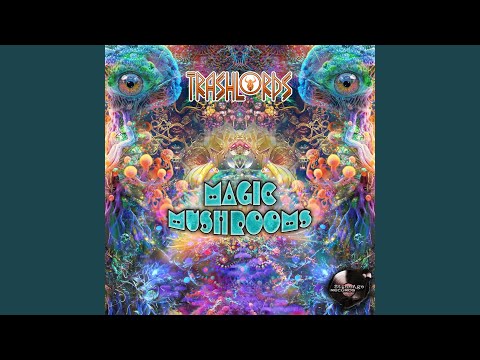 The Stoneage once again