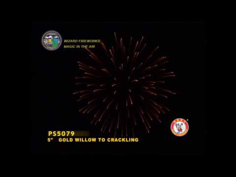 SA125WI03 - 5 INCH SHELL - WIZARD FIREWORKS - PS5079