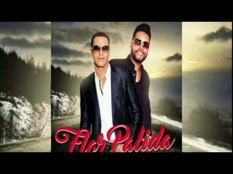 download lagu mp3 mp4 Dreamflor, download lagu Dreamflor gratis, unduh video klip Dreamflor