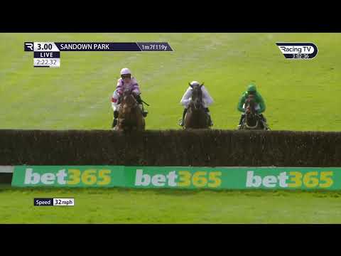 bet365 Celebration Chase GREANETEEN 2022