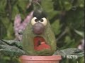 Sesame Street Episode 4049