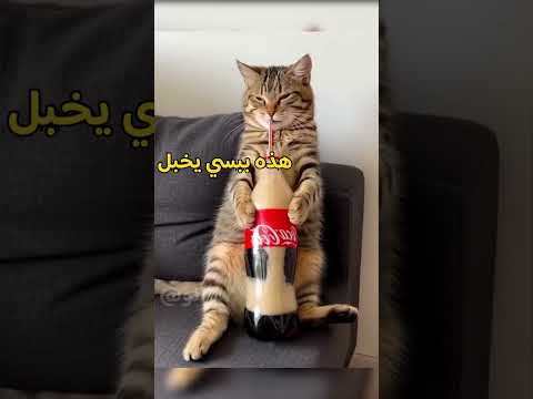 #foryou #العراق #saudiaarbia #دبلجة #fyp أقوى مقلب بابو قطه