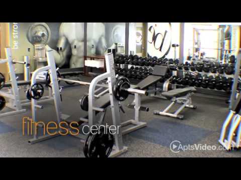 download lagu mp3 mp4 Marina Del Rey Aqua Apartments, download lagu Marina Del Rey Aqua Apartments gratis, unduh video klip Marina Del Rey Aqua Apartments