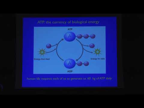 Sir. John E. Walker, The Fuel of Life