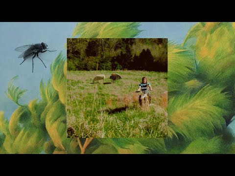 Stagediver - Stagediver ALBUM REVIEW 