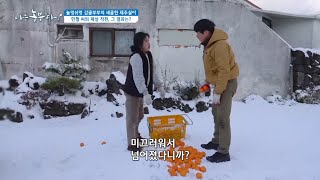 [놀멍쉬멍 감귤 부부의 제주살이] 제주에 내린 폭설로 감귤은 부부싸움...?? ⊙_⊙