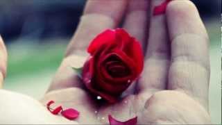 Te regalo una rosa - Salsa