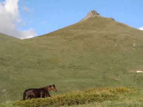 Sejfidin - Kriva za sve si bila