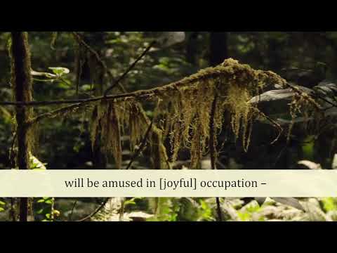 Juz 23 Quran with English audio translation