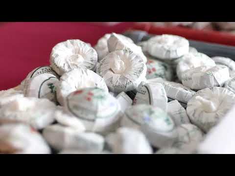 Zachraň Cestu čaje