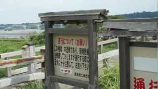 preview picture of video '蓬莱橋（ほうらいばし） Horai Bridge Shizuoka　木造で一番古い　静岡県島田市　 2012/09/06'