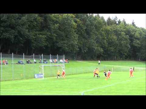 Highlights SC Pfullendorf F-Team - SG Dettingen-Dingelsdorf